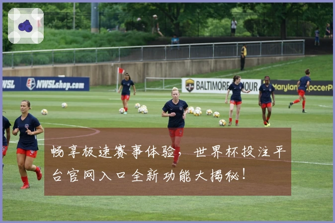 畅享极速赛事体验，世界杯投注平台官网入口全新功能大揭秘！