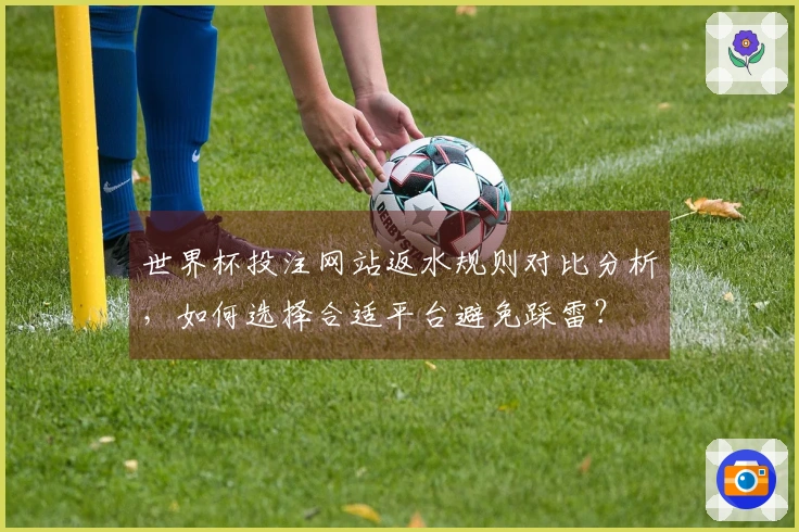 世界杯投注网站返水规则对比分析，如何选择合适平台避免踩雷？