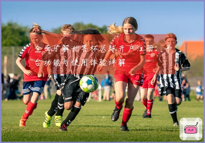 全面了解世界杯买球开户注册：平台功能与使用体验详解