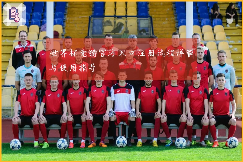 世界杯竞猜官方入口注册流程详解与使用指导