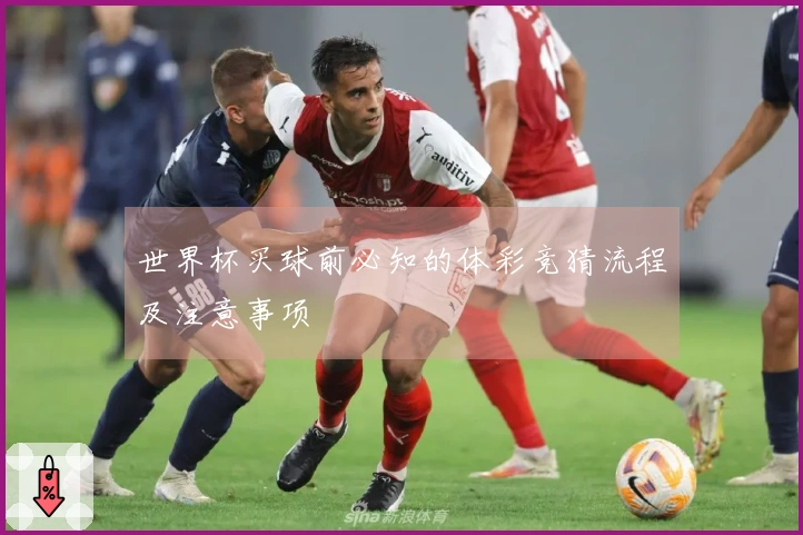世界杯买球前必知的体彩竞猜流程及注意事项