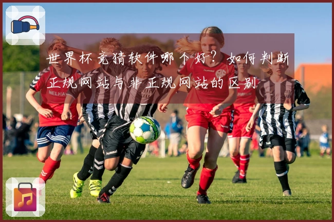 世界杯竞猜软件哪个好？如何判断正规网站与非正规网站的区别