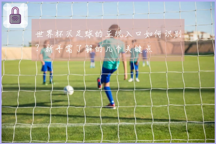 世界杯买足球的正规入口如何识别？新手需了解的几个关键点
