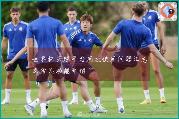 世界杯买球平台网址使用问题汇总及常见功能介绍