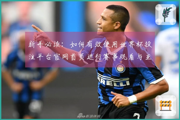新手必读：如何有效使用世界杯投注平台官网首页进行赛事观看与互动